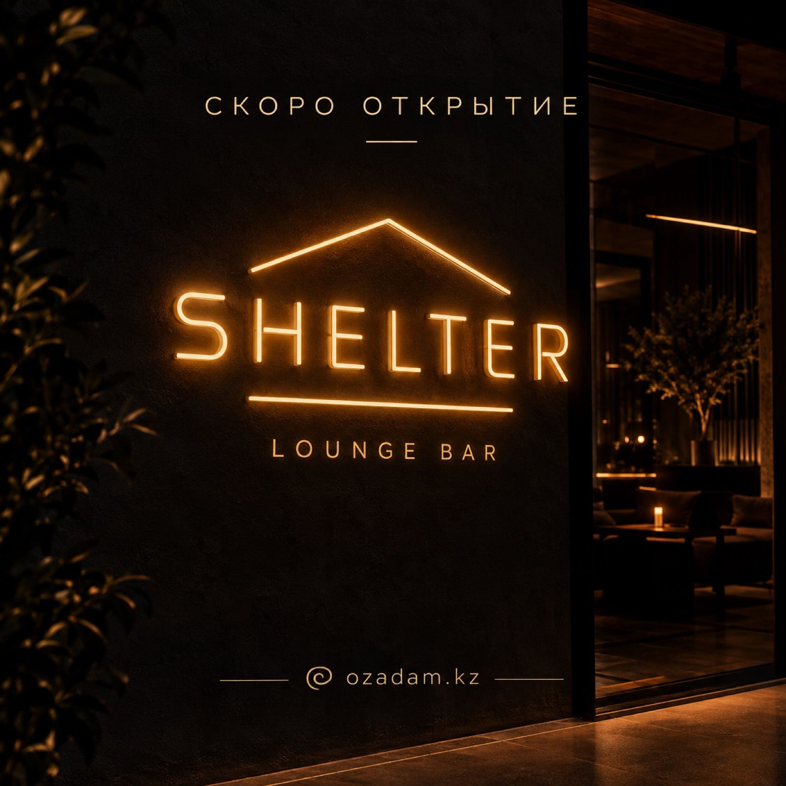 Лаундж-Бар Shelter