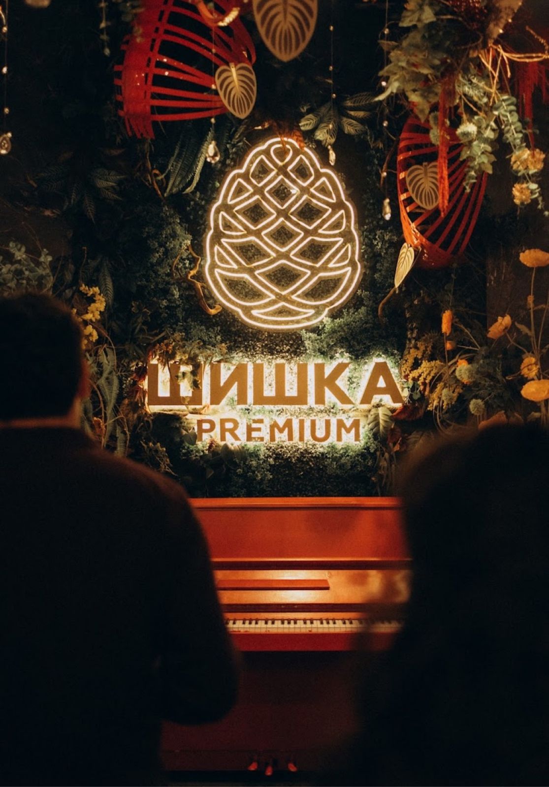 Шишка Premium 